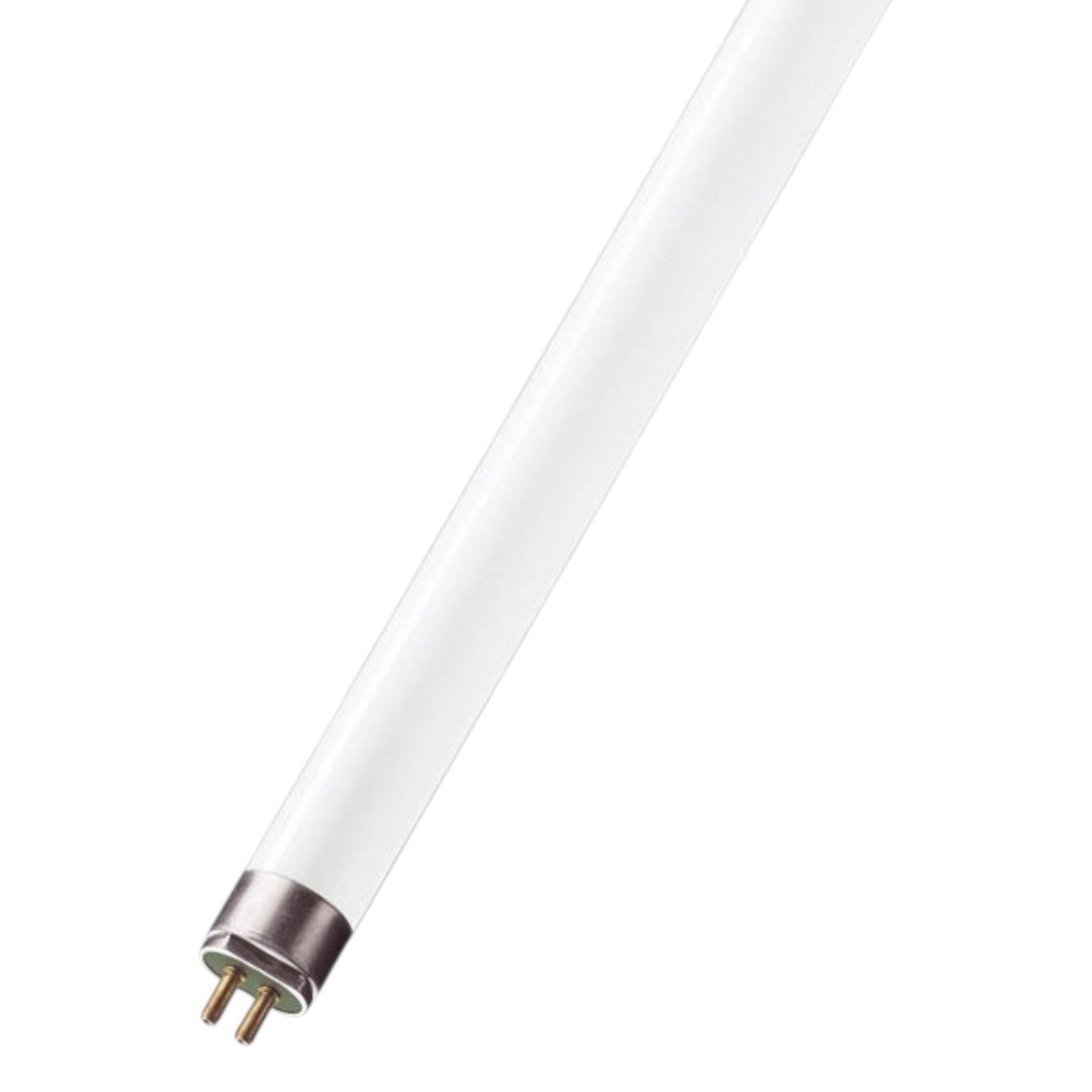 White fluorescent light bulb on a white background