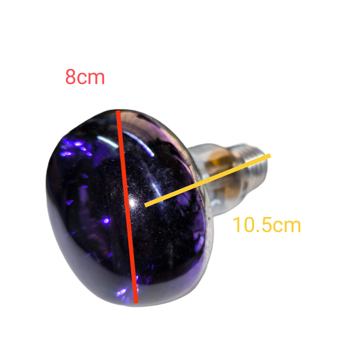 Philips 60W violet spotlight bulb with purple glass and standard screw base measuring 8cm by 10.5cm