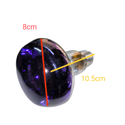 Philips 60W violet spotlight bulb with purple glass and standard screw base measuring 8cm by 10.5cm