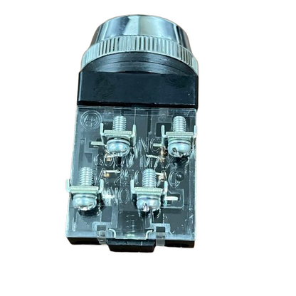 Push Button Switch Auspicious Green 30mm 3A 2NO/2NC