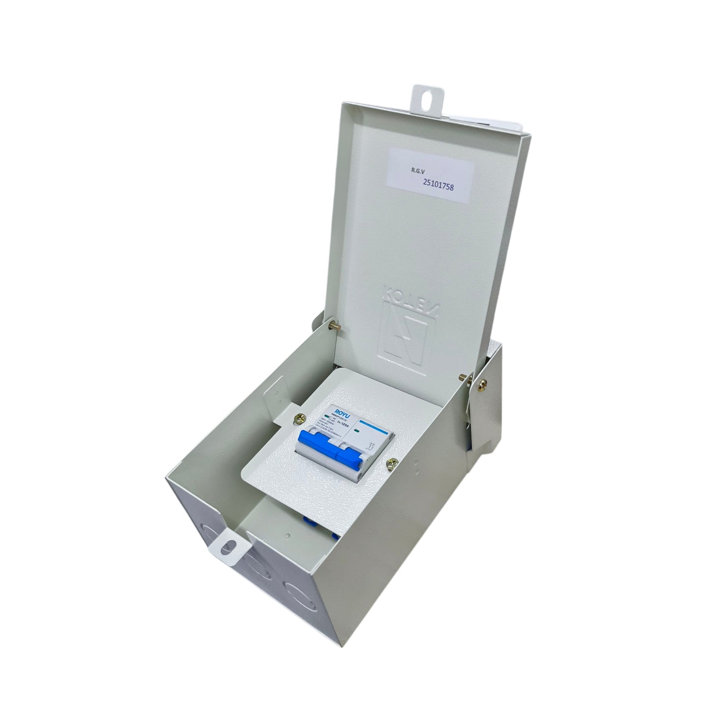 Royu 125A 2Pole 7.5 KAIC 220V Miniature Circuit Breaker with Nema 3r Enclosure K63NNEMA3RE-2P/3P+RMB2P125C10