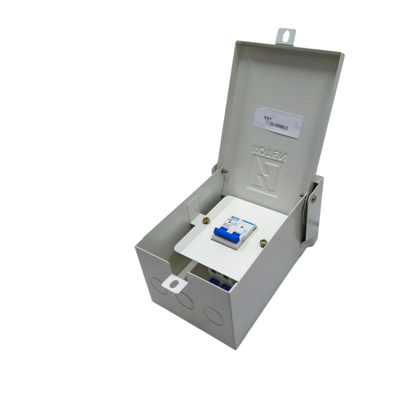 Royu 20A 2Pole 4.5KAIC 220V Miniature Circuit Breaker with Nema 3r Enclosure Outdoor RMB2P20C4