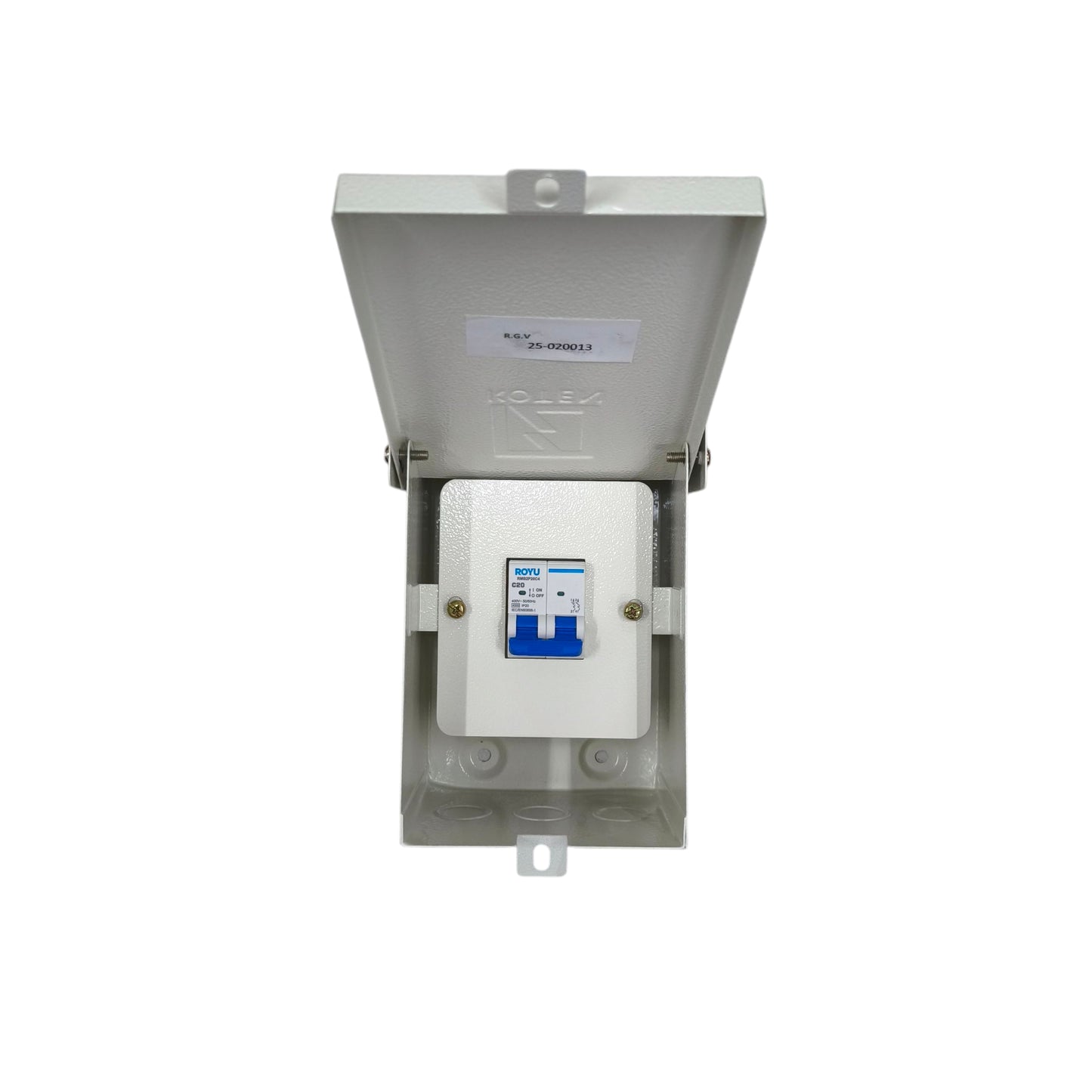 Royu 32A 2Pole 4.5KAIC 220V Miniature Circuit Breaker with Nema 3r Enclosure Outdoor RMB2P32C4