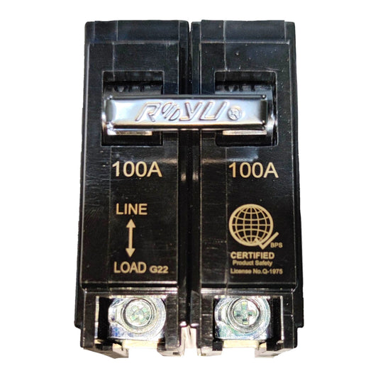 Royu 100A 2 Pole 6 KAIC 220V Plug In Circuit Breaker RCB100-60 Electx Electrical Supply