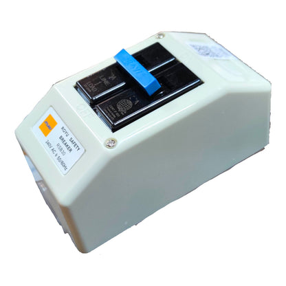 Royu 20A 2 Pole 10KAIC 220V Circuit Breaker with Enclosure PVC RSB202P Electx Electrical Supply