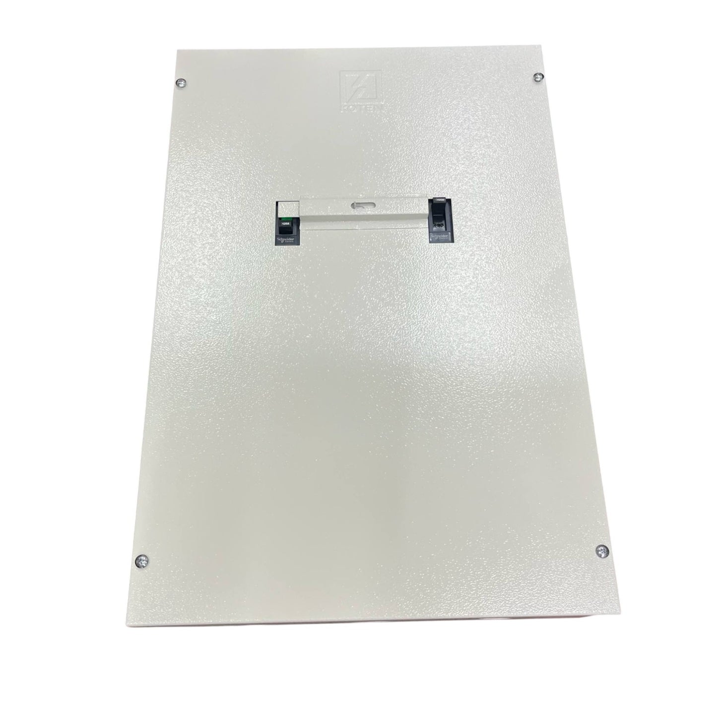 Schneider 125A MTS 2Pole with Nema 1 Enclosure 36KAIC 220V EZC250H2125