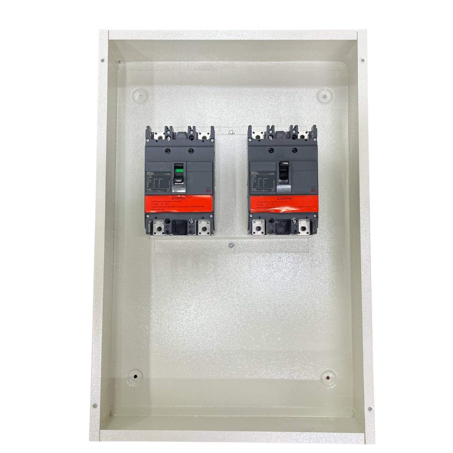 Schneider 250A MTS 2Pole with Nema 1 Enclosure 36KAIC 220V EZC250H2250