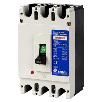 Shihlin BM100-H molded case circuit breaker with a white front, black side, and blue technical label, shown on a plain white background.