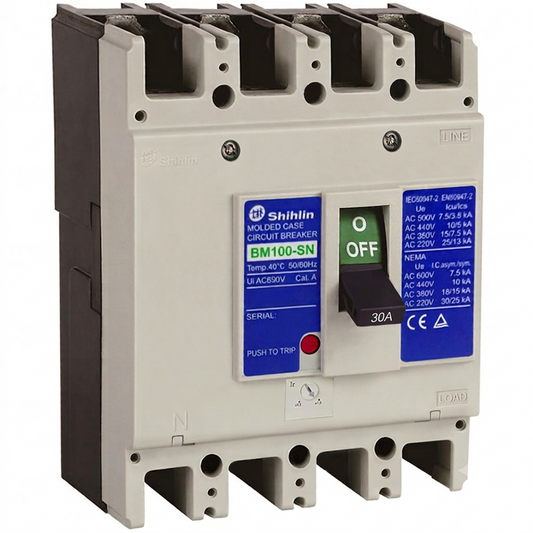 Shihlin BM100-SN molded case circuit breaker with a beige plastic housing, black terminal blocks, blue and green labels, and a black switch handle.