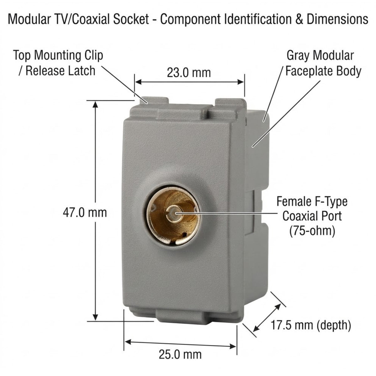 Technical dimension diagram of a modular TV/coaxial socket component, showing labeled measurements for height, width, and depth with a gray faceplate body and a gold-toned coaxial port.
