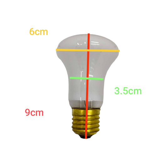 Warm White Lamp Standard E-27 with clear glass bulb and brass screw base, measuring 9 cm tall