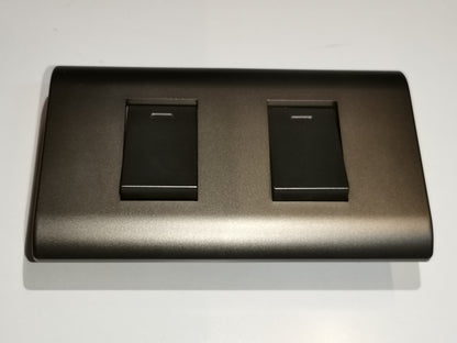 Royu 2 Gang 1 Way Switch with Plate Dark Gray