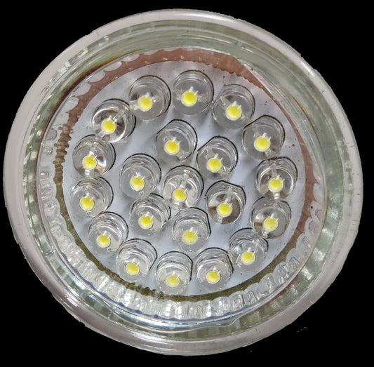 Close-up view of LED bulb array with clear lens and AC Cord Type I from China