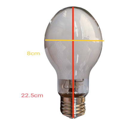 Pollux 250W Mercury Blended Bulb E40 220V AC HMB250W