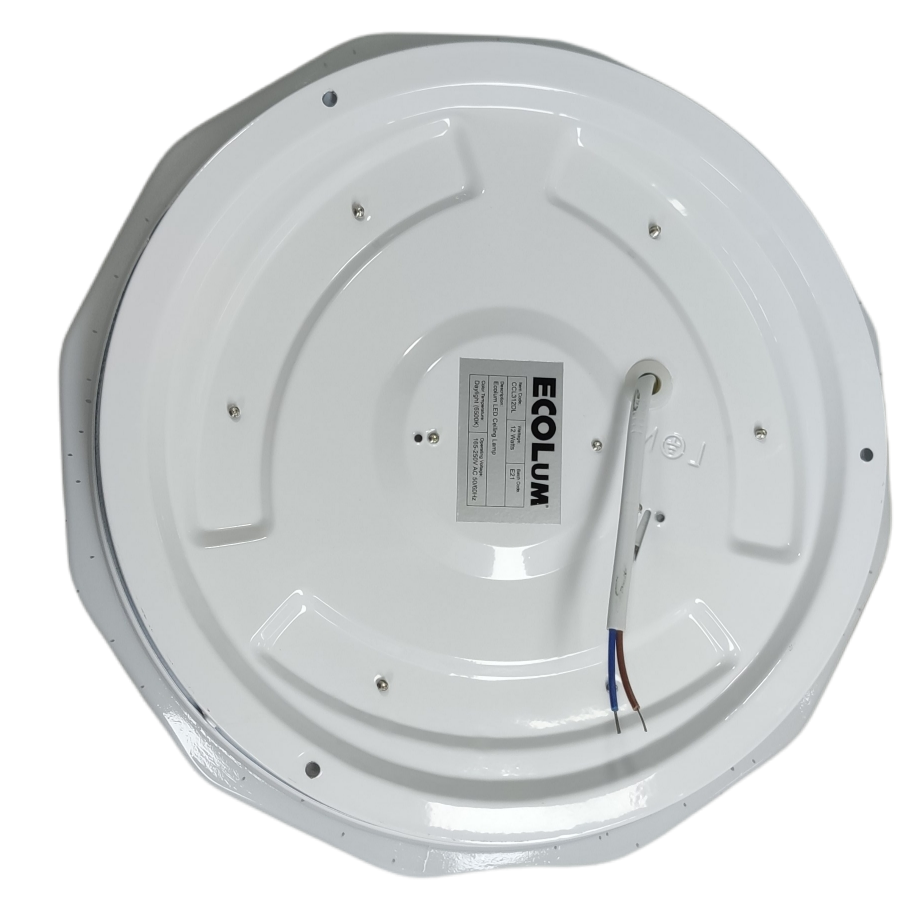 Ecolum 12W Ceiling Lights Daylight 6500K LED 220V, Center Light Living Room, Room Light