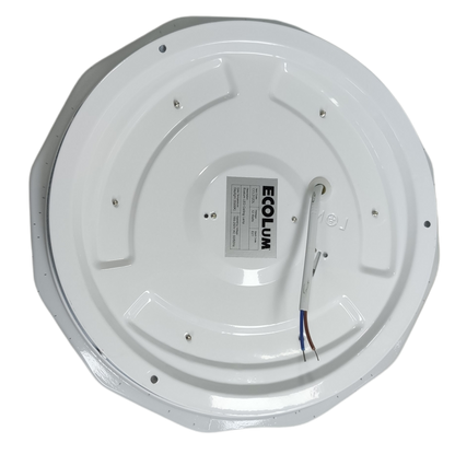 Ecolum 12W Ceiling Lights Daylight 6500K LED 220V, Center Light Living Room, Room Light