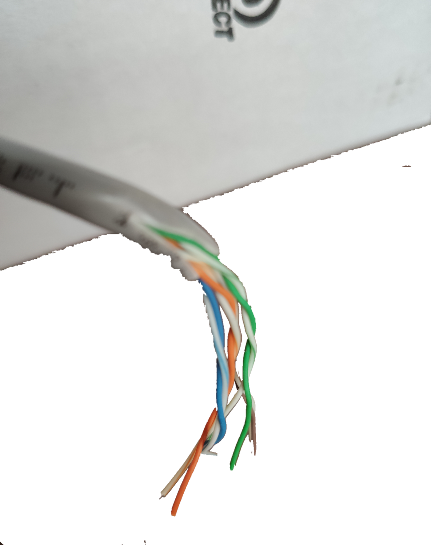 Close-up of AMP CAT5e UTP LAN Cable 300 Meters showing twisted color-coded wires