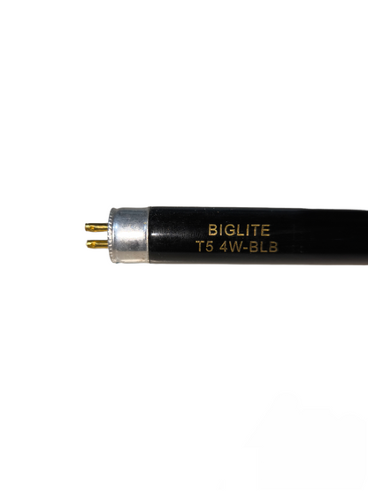 Biglite 4W T5 UV-A black light bulb fluorescent tube with two-pin connectors on white background