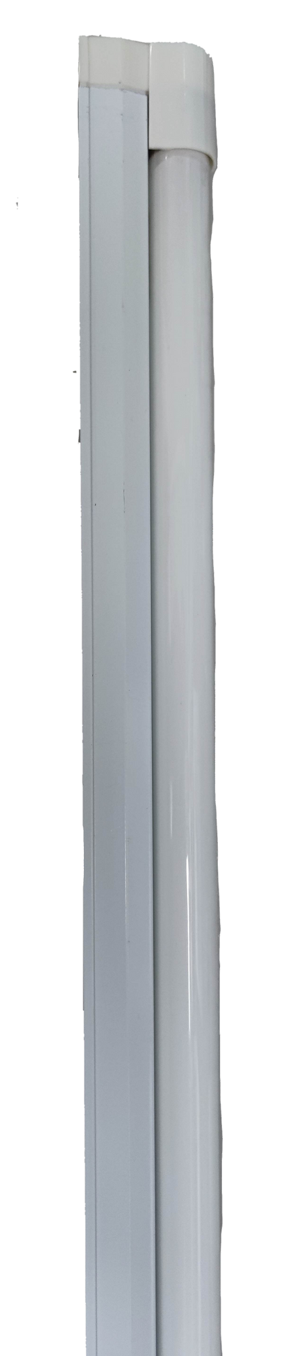 Firefly blue fluorescent lamp 28 watt 220V tubular light bulb on black background