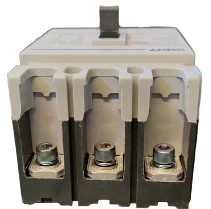 Chint 125A 3 Pole Industrial Circuit Breaker with robust metal terminals and white casing