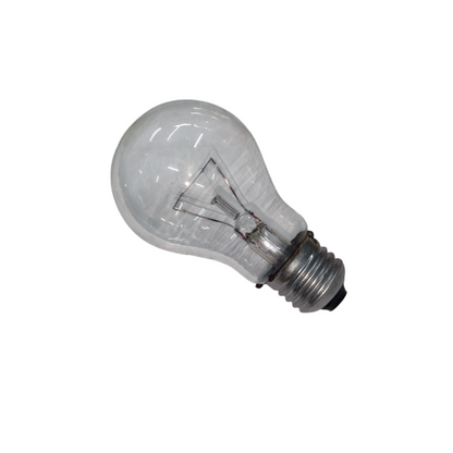 Chiyoda 60W Incandescent Bulb Clear with metal screw base and visible filament inside