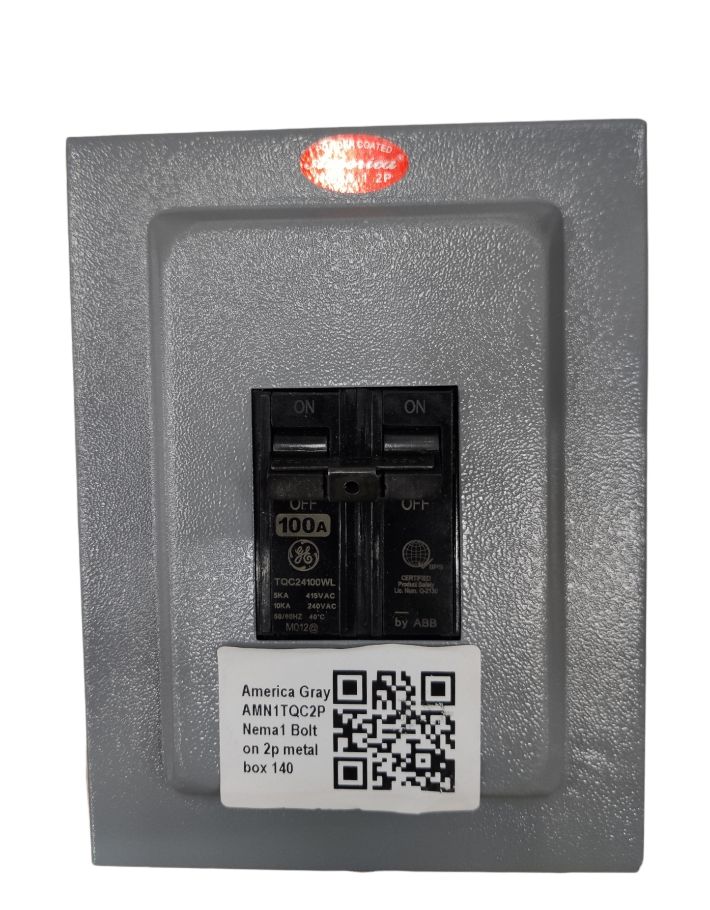 GE 2 pole single phase circuit breaker in a gray metal box with a 100A rating
