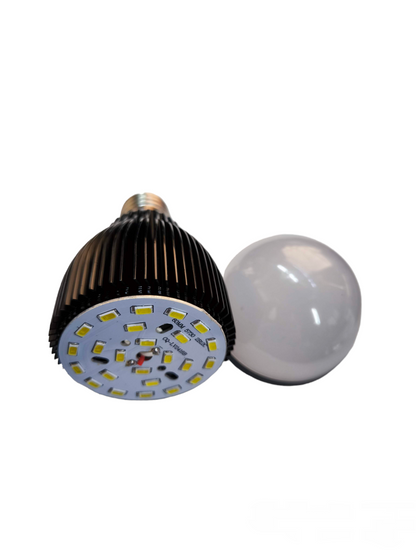 Denko LED bulbs for sale showing a black heat sink LED bulb and a white frosted globe bulb