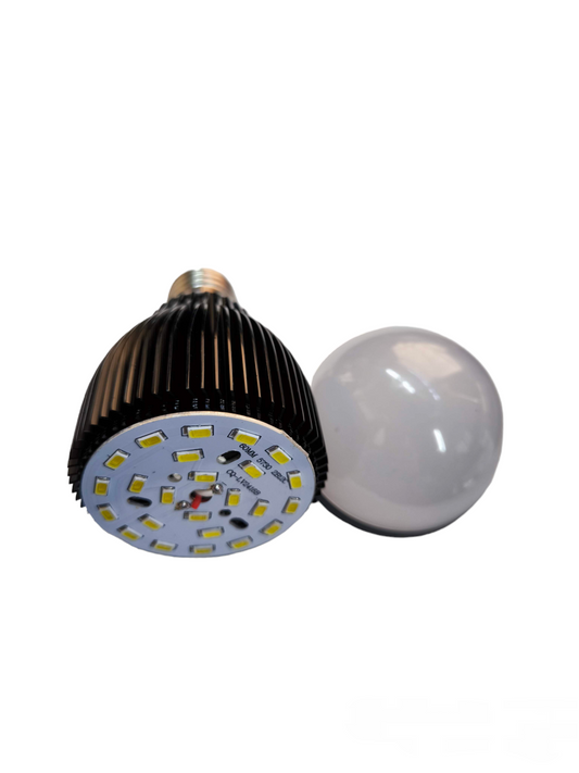 Denko LED bulbs for sale showing a black heat sink LED bulb and a white frosted globe bulb
