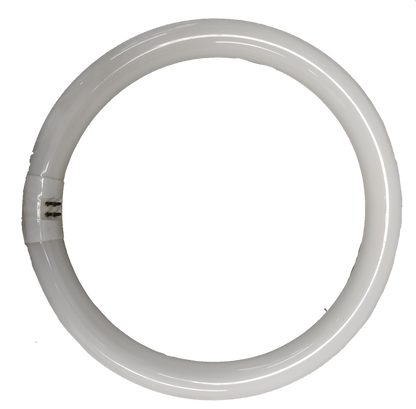 Philips 32W Circular Fluorescent Tube Cool White