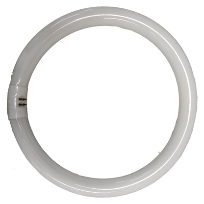 Philips 32W Circular Fluorescent Tube Cool White 4000K G10q TLE32W/840