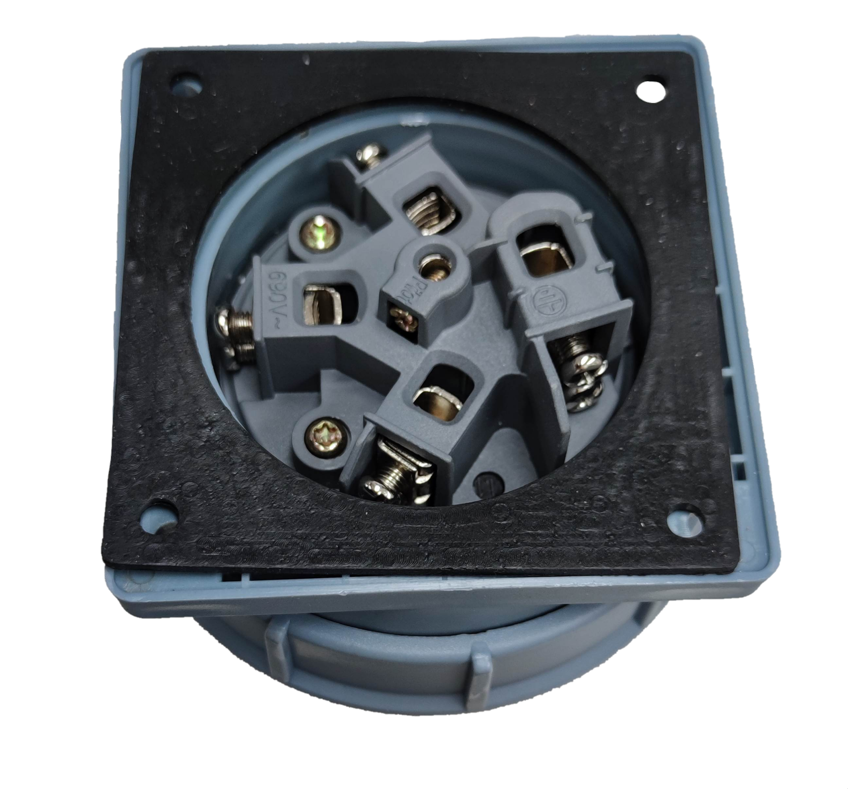 Grippes Electx Electrical Supply Socket with Durable Construction for Reliable Connections