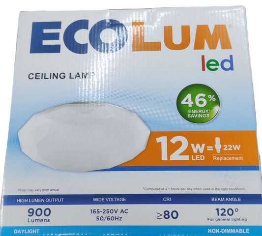 Ecolum 12W Ceiling Lights Daylight 6500K LED 220V, Center Light Living Room, Room Light