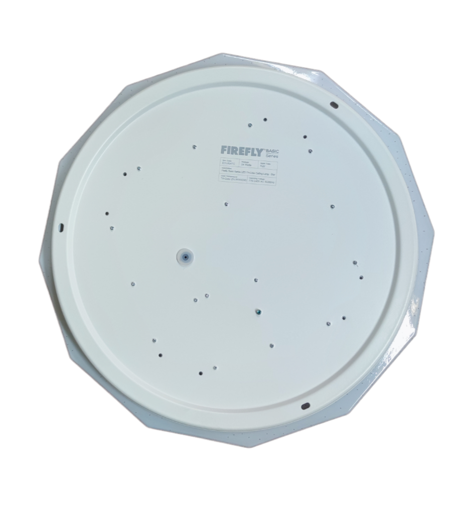 Firefly 24W LED ceiling light 220V white round LED panel with mounting holes