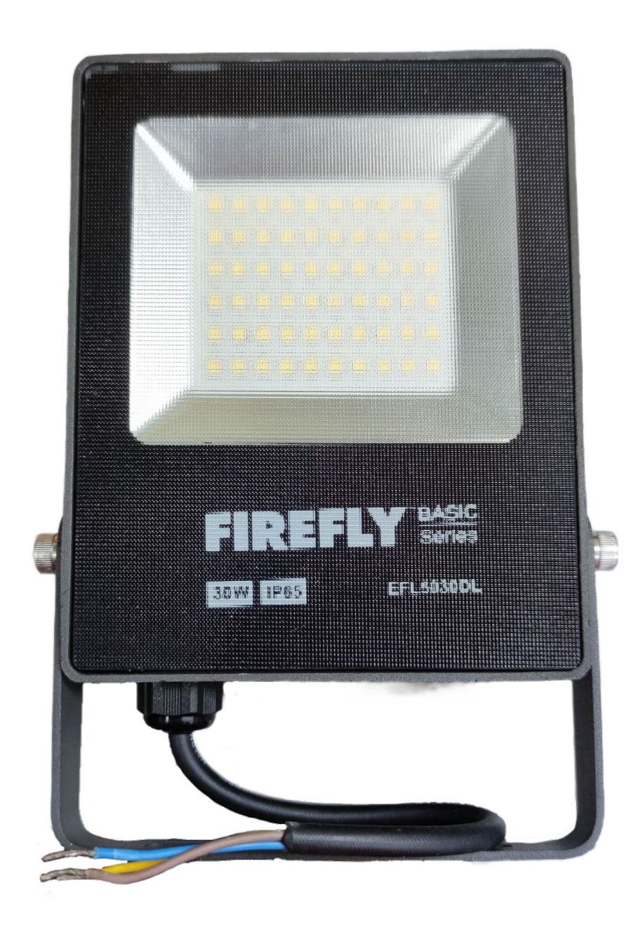 Firefly 30W LED Floodlight 220V Daylight with IP65 Rating for Outdoor Use