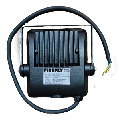 Firefly 30W LED floodlight with durable design for outdoor lighting applications