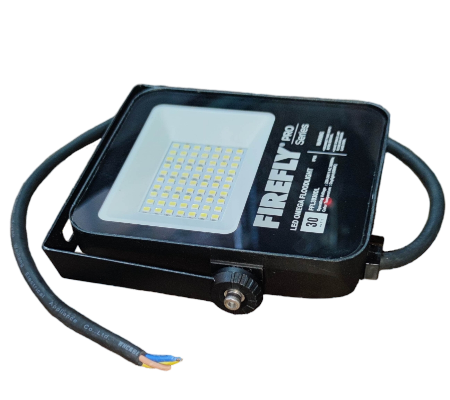 Firefly 30W LED floodlight with durable design for outdoor lighting needs