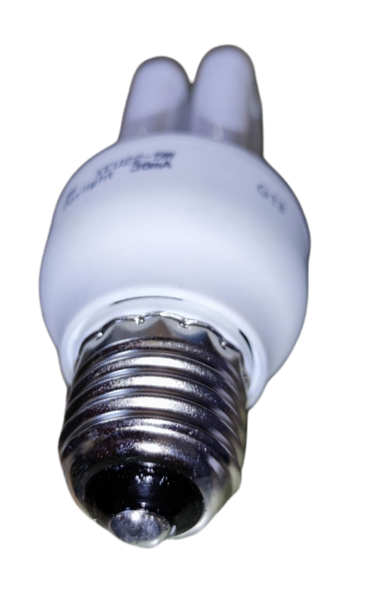 Firefly 5W CFL daylight bulb with a standard base designed for energy-efficient lighting