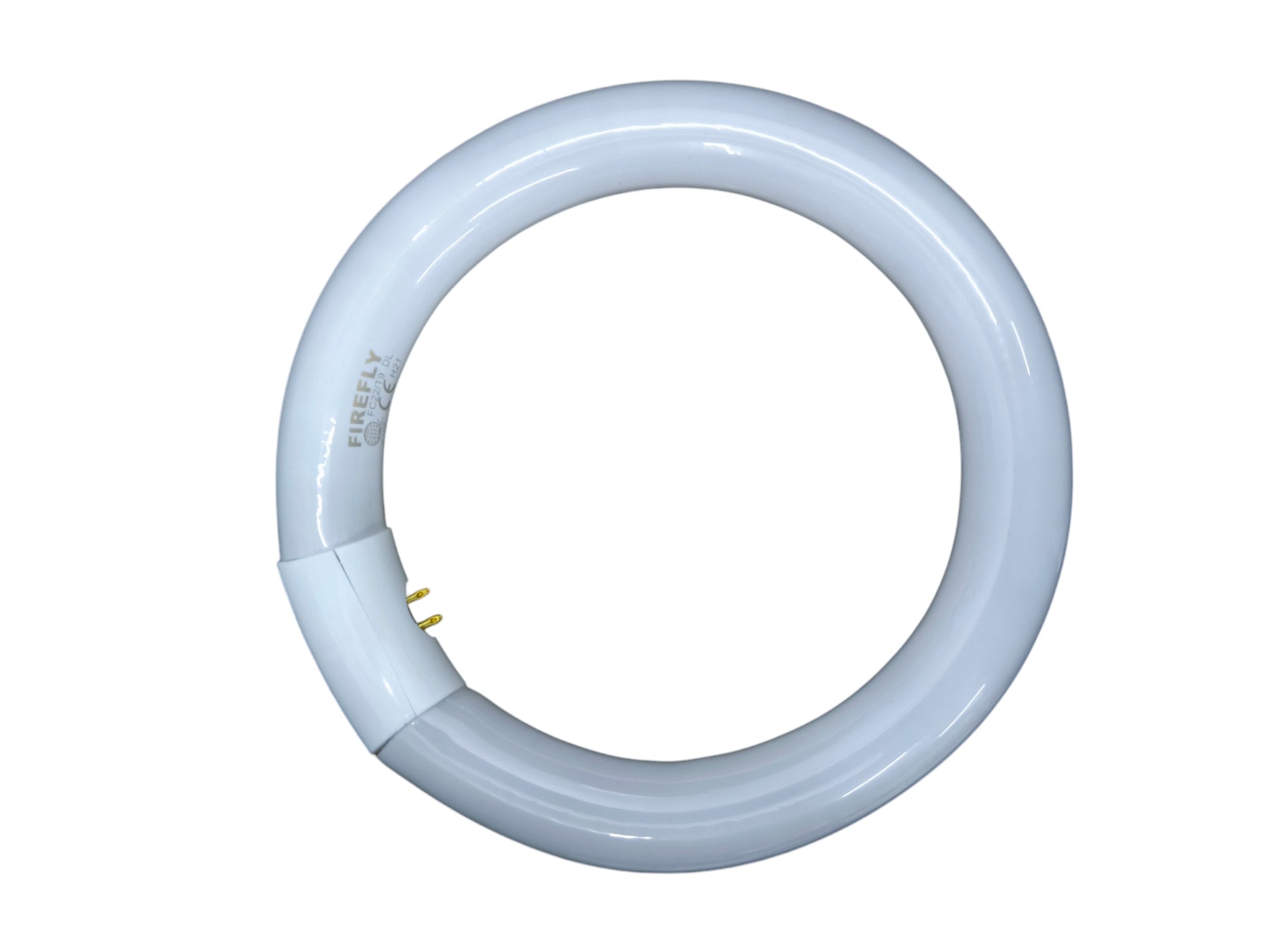 Firefly compact fluorescent circular bulb top view Circular Lamp 22W  6500K Daylight cool white ring tube