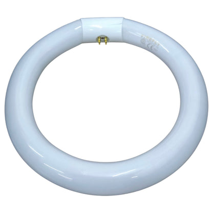 Firefly 22W Circular Lamp Fluorescent Tube G10q Daylight 6500K FC22/T9