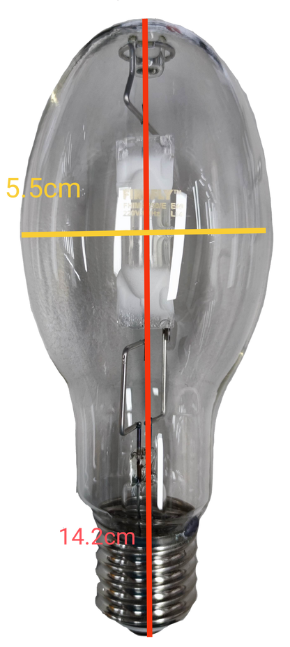 Firefly High Intensity Discharge Metal Halide Lamp Elliptical bulb with clear glass and screw base