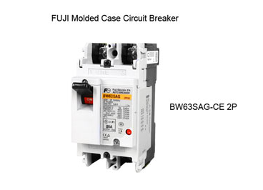 Fuji 2 pole MCCB 60A industrial breaker molded case circuit breaker BW63SAG white 2P with handle and label