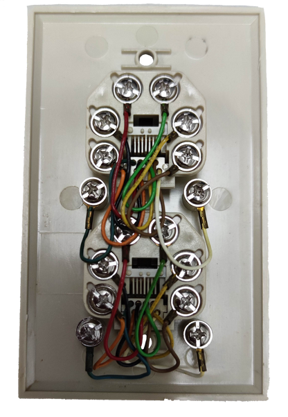 Rear view of a 2 gang LAN outlet with multiple colored wires connected to screws in an electrical circuitry part