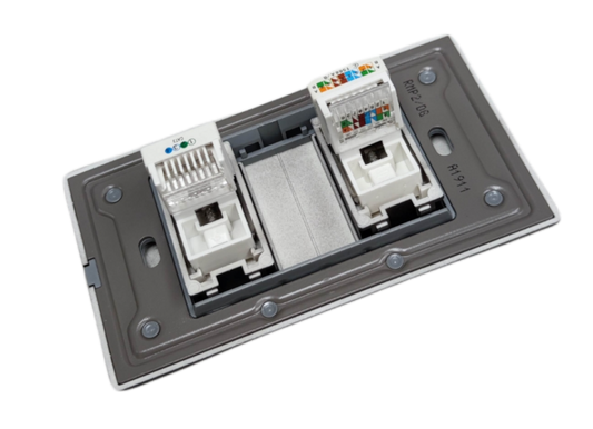 Royu 2 Gang Telephone and LAN Outlet with dual ports for network and telephone connections