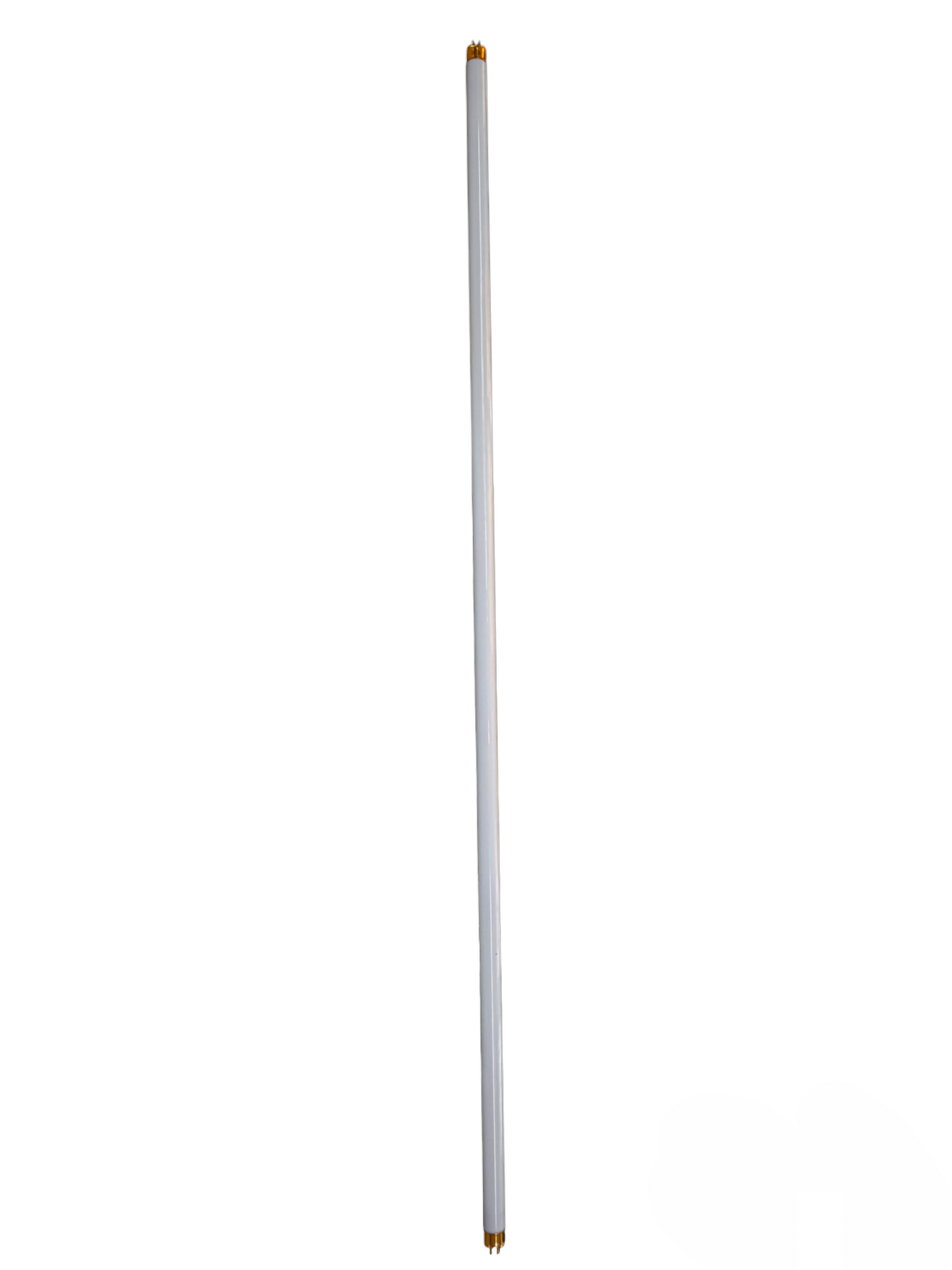 Starlux 21W T5 fluorescent tube compact fluorescent bulb with white glass and gold pins