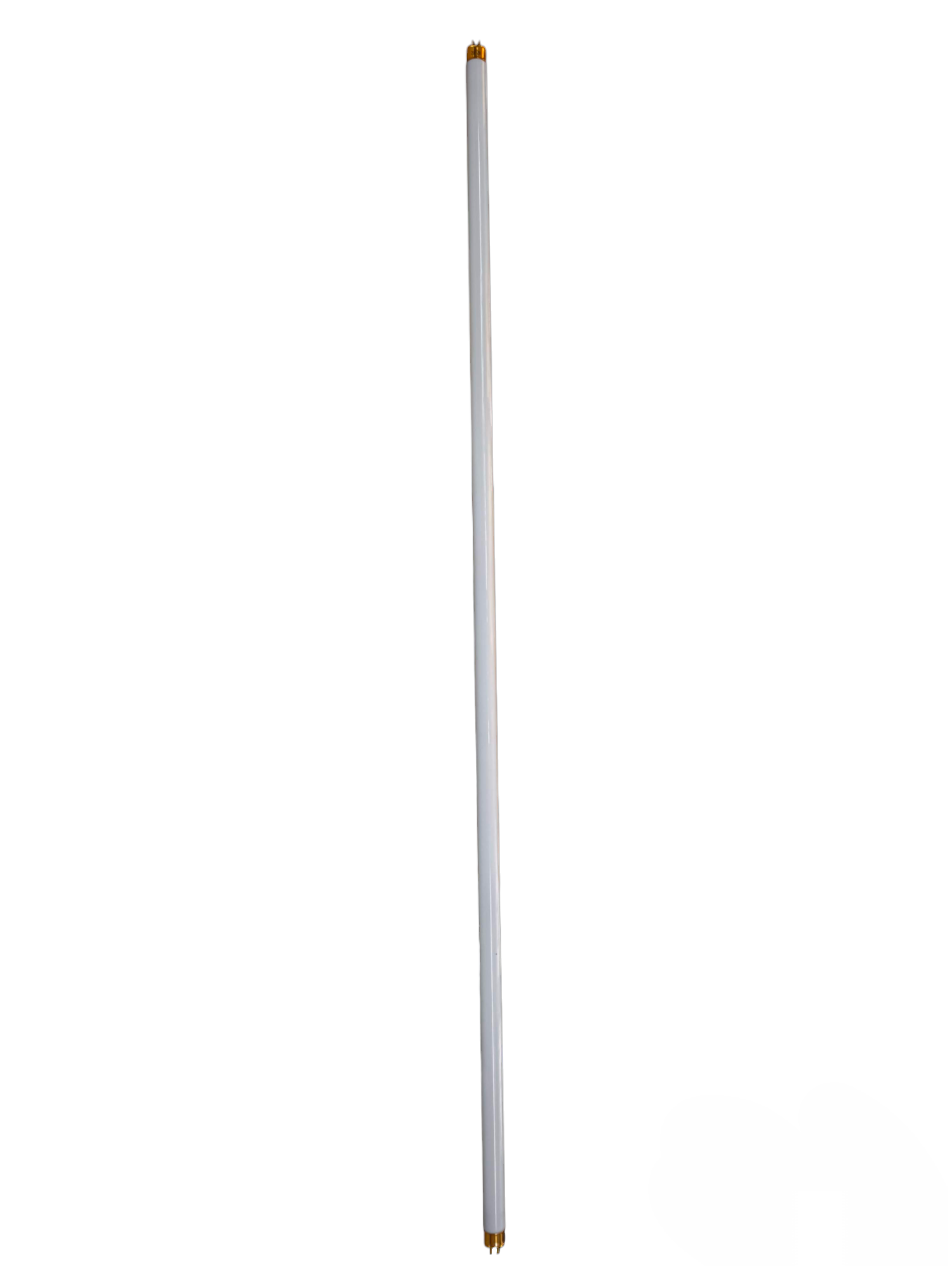 Starlux 21W T5 fluorescent tube compact fluorescent bulb with white glass and gold pins