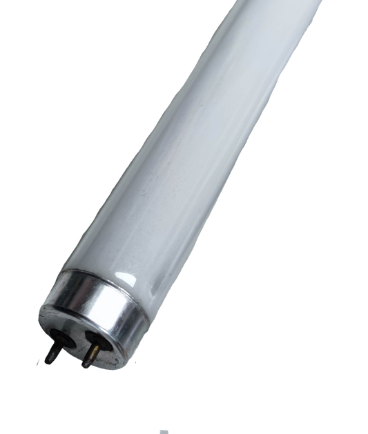 36W insect killer fluorescent tube from Electx Electrical Supply with metal end caps and glass body