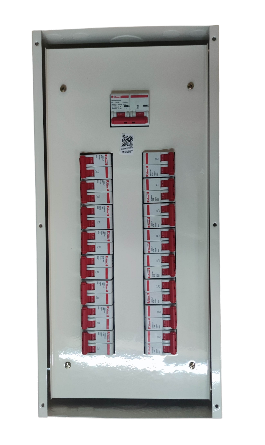 Electx Electrical Supply panel board for miniature circuit breaker with dual column red MCBs and main switch