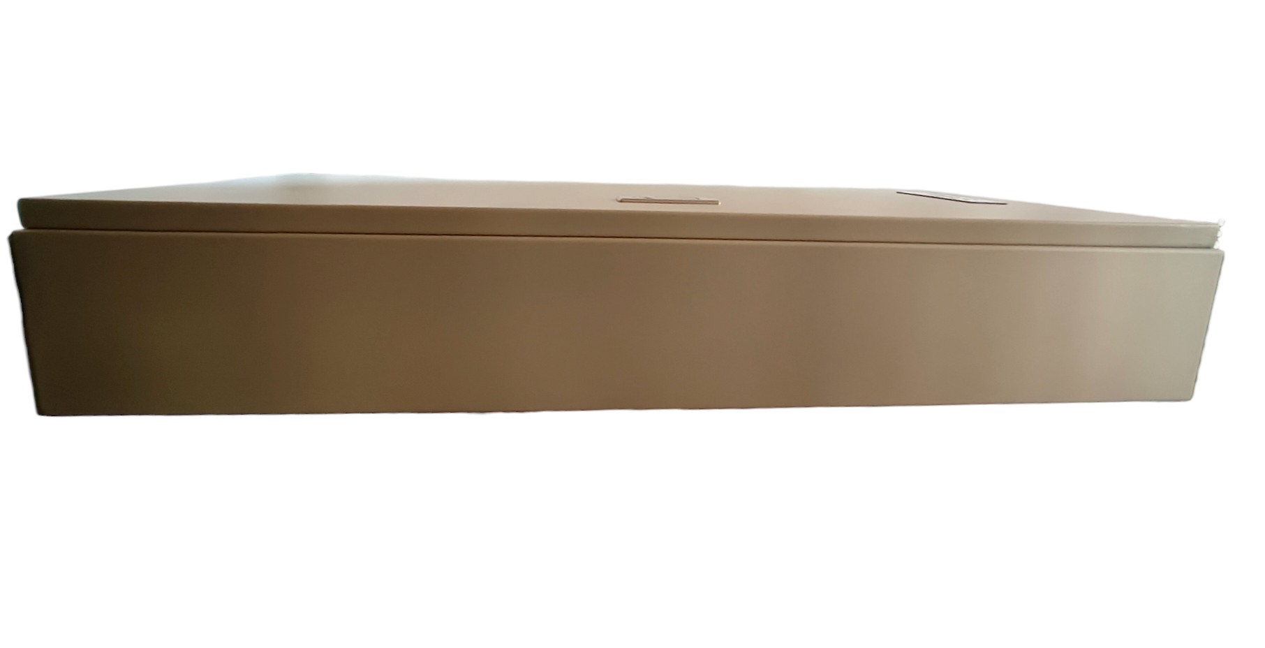 Royu MTS Main MCCB 125AF 2pole Panel Board electrical circuitry component in beige casing