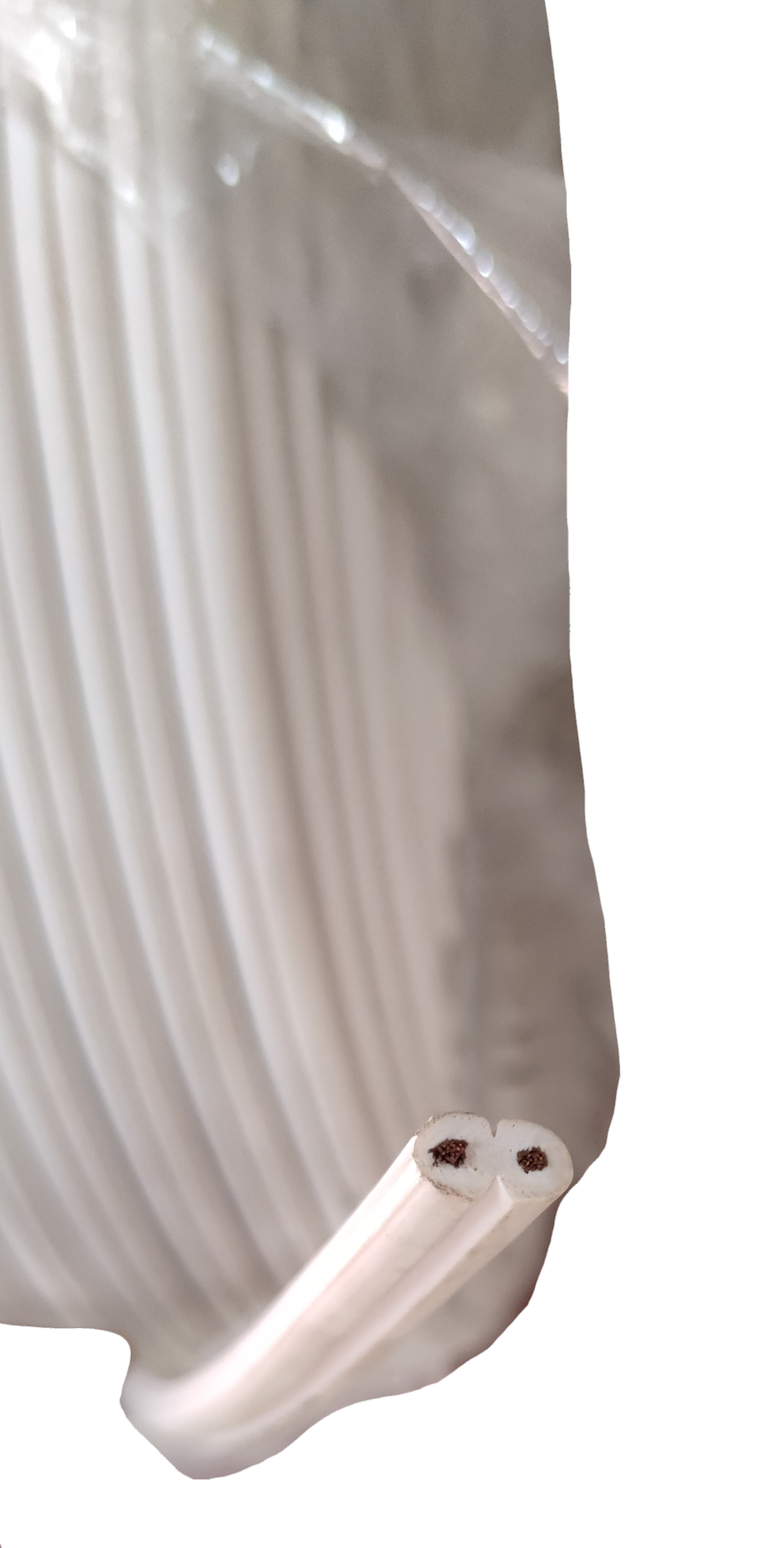 Flat Cord AWG 12 White 1Roll showing two insulated copper wires for electrical projects