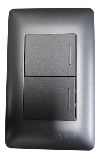 Omni 2 gang 1 way switch graphite featuring a sleek design for modern interiors